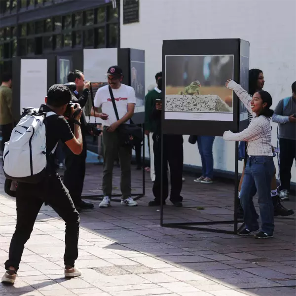 No te pierdas la muestra fotográfica “Realidad o Ficción”