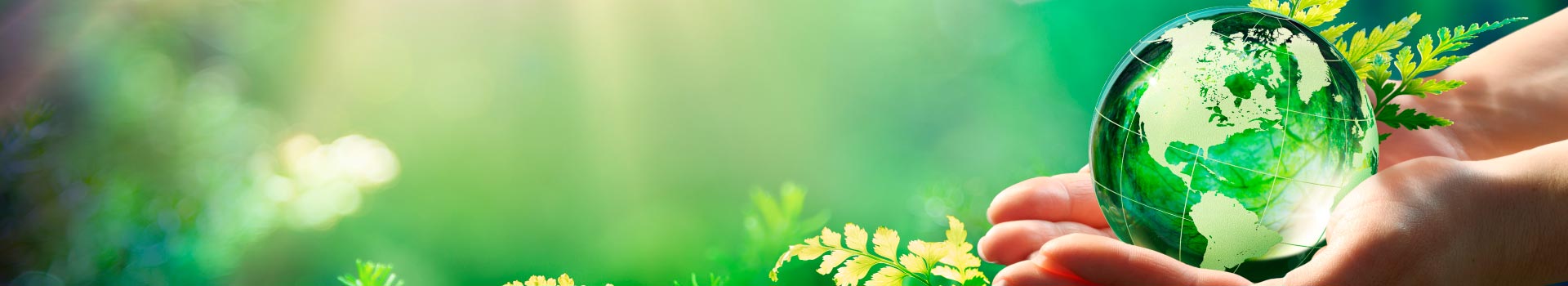 imagen-Técnico en Ecología