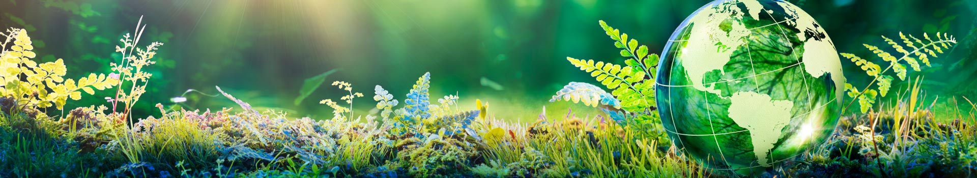 imagen-Técnico en Sustentabilidad