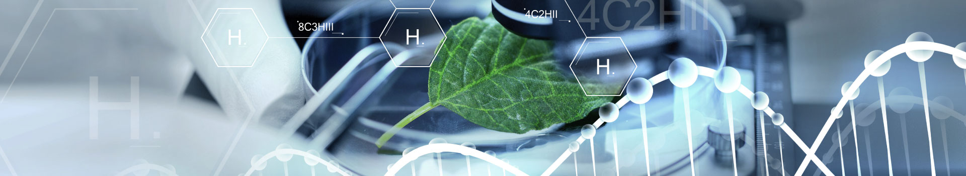 imagen-Licenciatura en Biología