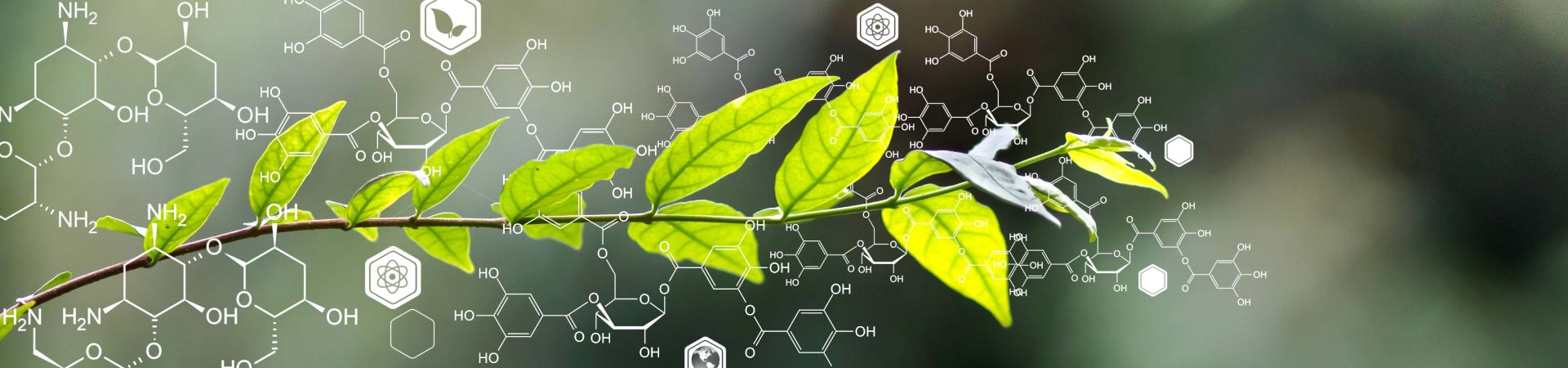 imagen-Ingeniería Bioquímica